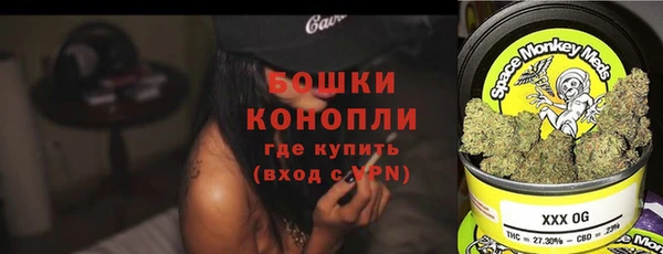 прущие грибы Нефтегорск