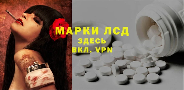 прущие грибы Нефтегорск