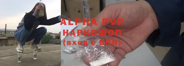 прущие грибы Нефтегорск