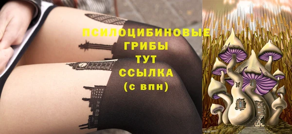 PSILOCYBIN Новодвинск