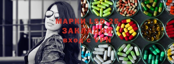 прущие грибы Нефтегорск