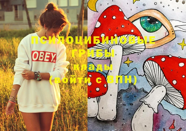 mdpv Нея