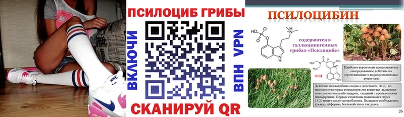 Псилоцибиновые грибы Magic Shrooms  Купить  Ульяновск 